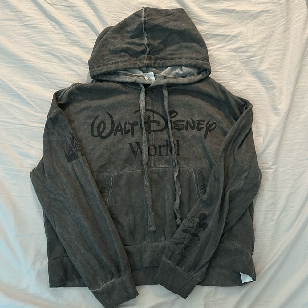 Walt Disney World Hoody
